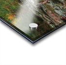 Autumn Forest Stream Acrylic print