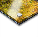 Autumn Splash in Quebec City Acrylic print