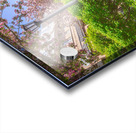 Dreamy Spring Path Acrylic print