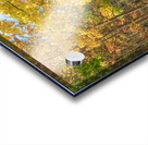 Decew Falls Autumn Trail Acrylic print