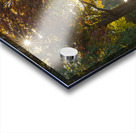 Eugenia Lake sunburst Acrylic print