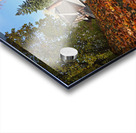 Flesherton Maple Magic Acrylic print