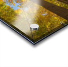 Forest Magical Autumn Glow Acrylic print