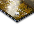 Howells Autumn Road Acrylic print