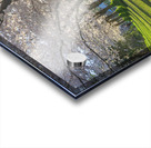 Morning Spring Freshness Acrylic print