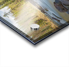 Sunwapta River Beauty Impression Acrylique