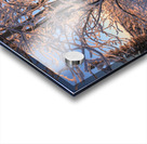 Winter Morning Frost Sunburst Acrylic print