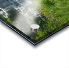 Summer at Chittenango Falls Acrylic print