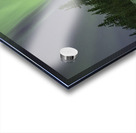 Light up the path Acrylic print