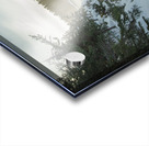 Lady Evelyn falls Winter Thaw Acrylic print