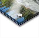 Summer Rampart Falls Majesty Acrylic print