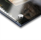 Next to Alexandra Falls -  Autumn Acrylic print