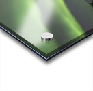 Ingraham Aurora Ribbons Acrylic print