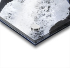 Blue Heron flight Takeoff Acrylic print