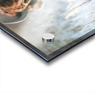 Wood Bison in Morning Frost Acrylic print