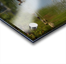 Swan Mirror reflections Acrylic print