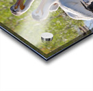 Pelicans relaxing along the Hay River  NWT Acrylic print