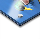 Duck Reflections Impression Acrylique