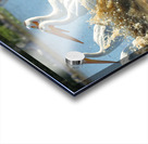 Pelicans in the Waves Acrylic print