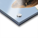 Big Boss of the Road   Wood Bison Acrylic print