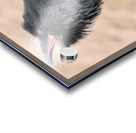 Raven singing Acrylic print