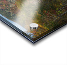 Crawford Notch Autumn Road Acrylic print