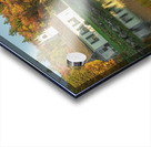 Stark Autumn  Reflections Acrylic print