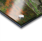 Mohawk Falls Autumn Magic Acrylic print