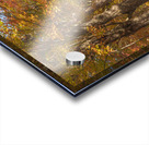 Lovers Lane Autumn Splendor Acrylic print