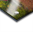 Magical Autumn Path to Bridge Acrylic print