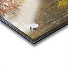 Foggy Morning Autumn Road Impression Acrylique