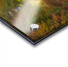 Autumn Road Morning Glow Acrylic print