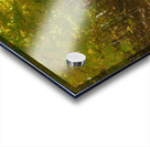 Letchworth Autumn Tree Tunnel Glow Acrylic print