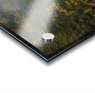 Autumn Wonderland at Upper Falls Acrylic print