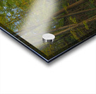 Taughannock Falls Forest Trail Acrylic print