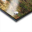 Autumn Waterfall Magic Acrylic print