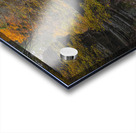 Autumn Fantasy Bridge Acrylic print