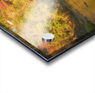 Autumn Paradise at Ithaca Falls Acrylic print