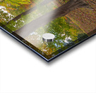 Letchworth Old Stone Walkway Acrylic print