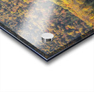 Kinsman Notch Autumn Wonderland Acrylic print