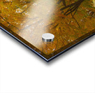 Enchanted Autumn Wonderland Pathway  Acrylic print