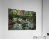 Belfountain early autumn flow Acrylic Print