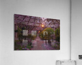 Crab apple blossom pathway Acrylic Print