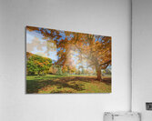 Niagara falls Autumn Magic Acrylic Print