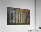 Parc Duquette Autumn Pond Reflection Acrylic Print
