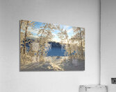 Winter Magic Acrylic Print