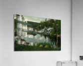 Beauty of Rampart Falls Acrylic Print