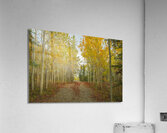 Northern Autumn Serenity Impression acrylique