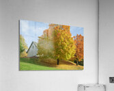 Autumn Classic Maples Impression acrylique