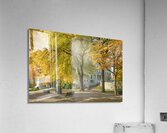 Autumn Splash in Quebec City Acrylic Print